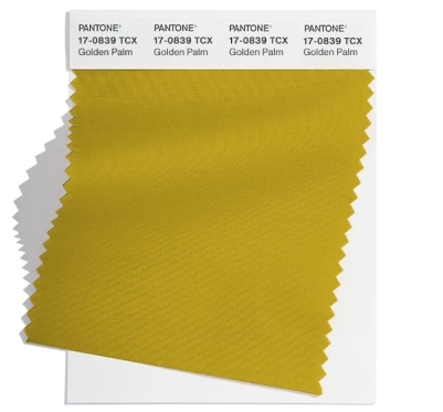 PANTONE 17-0839TCX PANTONE 17-0839TCX