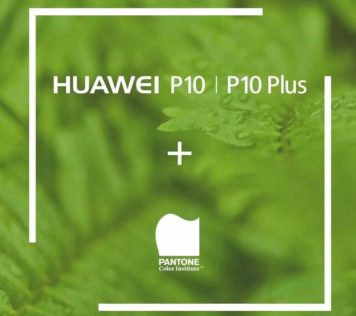 PANTONE 與華為 | 色彩能提高【顏值】，更是你大膽表達(dá)的工具(圖4)