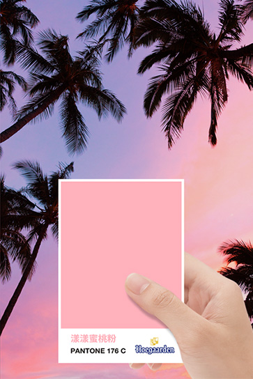 HOEGAARDEN|PANTONE 176 C 漾漾蜜桃粉 水靈上市(圖6) HOEGAARDEN|PANTONE 176 C 漾漾蜜桃粉 水靈上市(圖6)