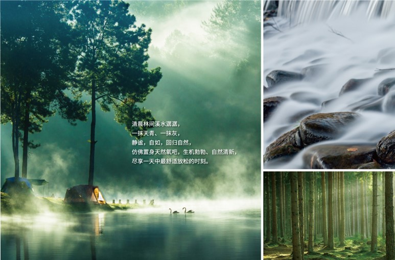 PANTONE與知名品牌的合作“色”得很(圖6)