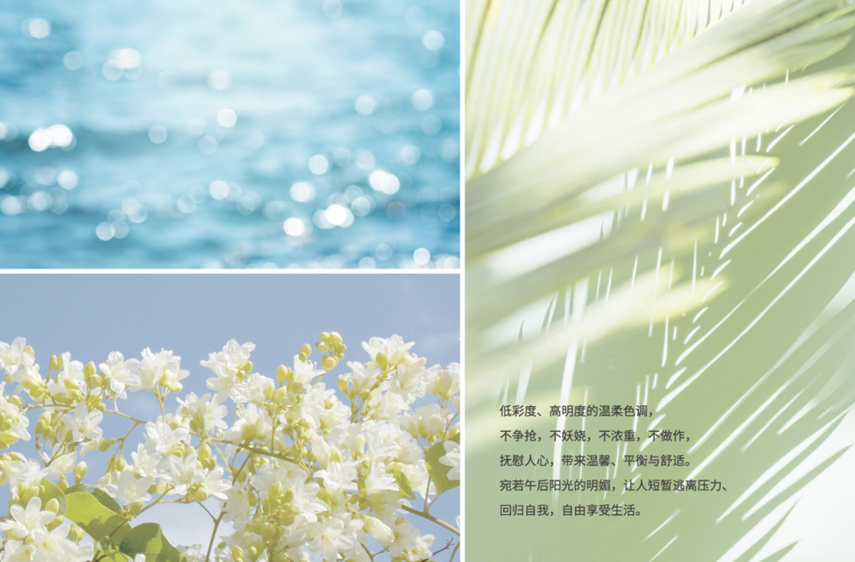 PANTONE與知名品牌的合作“色”得很(圖8)