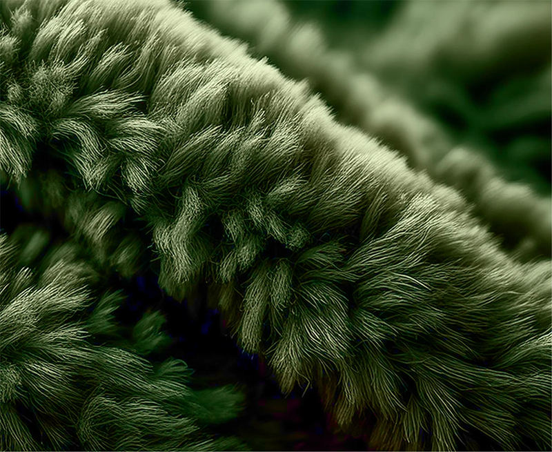 2025春夏色彩趨勢 2025春夏色彩趨勢